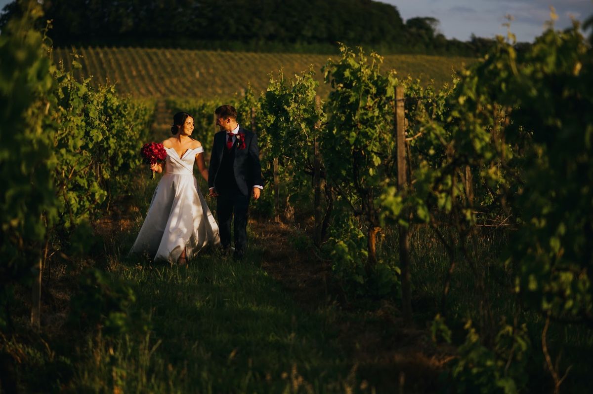 Gallery Item 5 for Denbies Wine Estate