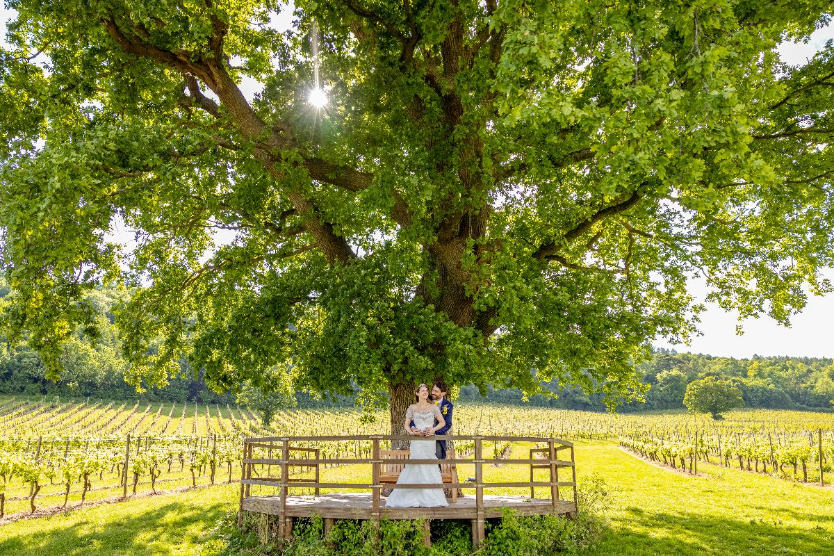 Gallery Item 13 for Denbies Wine Estate