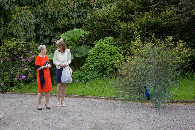 Gallery Item 8 for Dartmoor Zoological Park