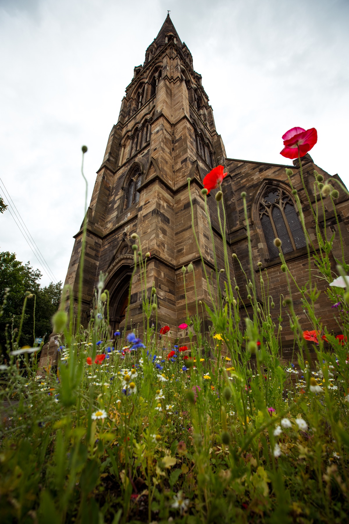 Gallery Item 3 for Cottiers