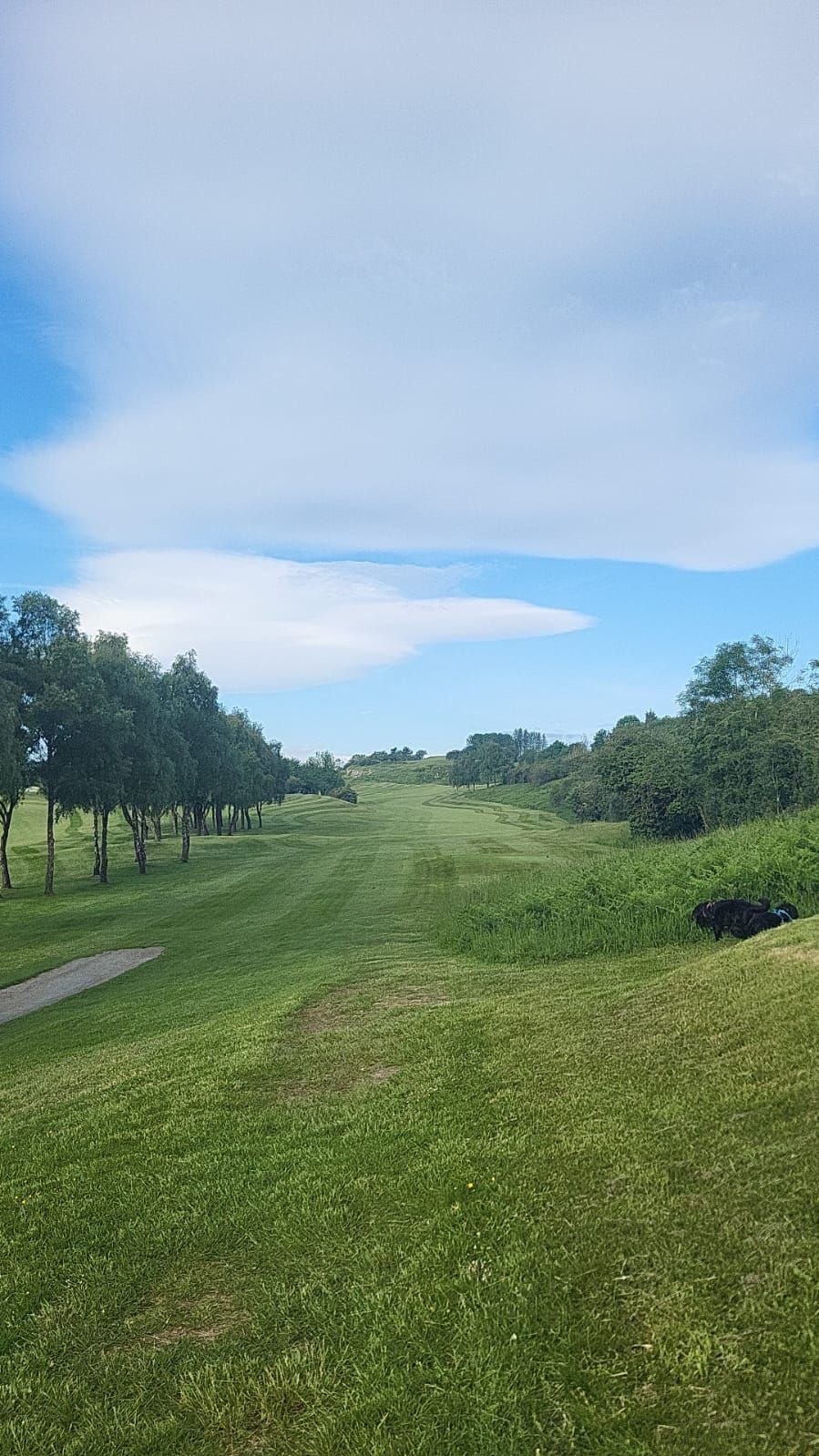 Gallery Item 10 for LLANYMYNECH GOLF CLUB
