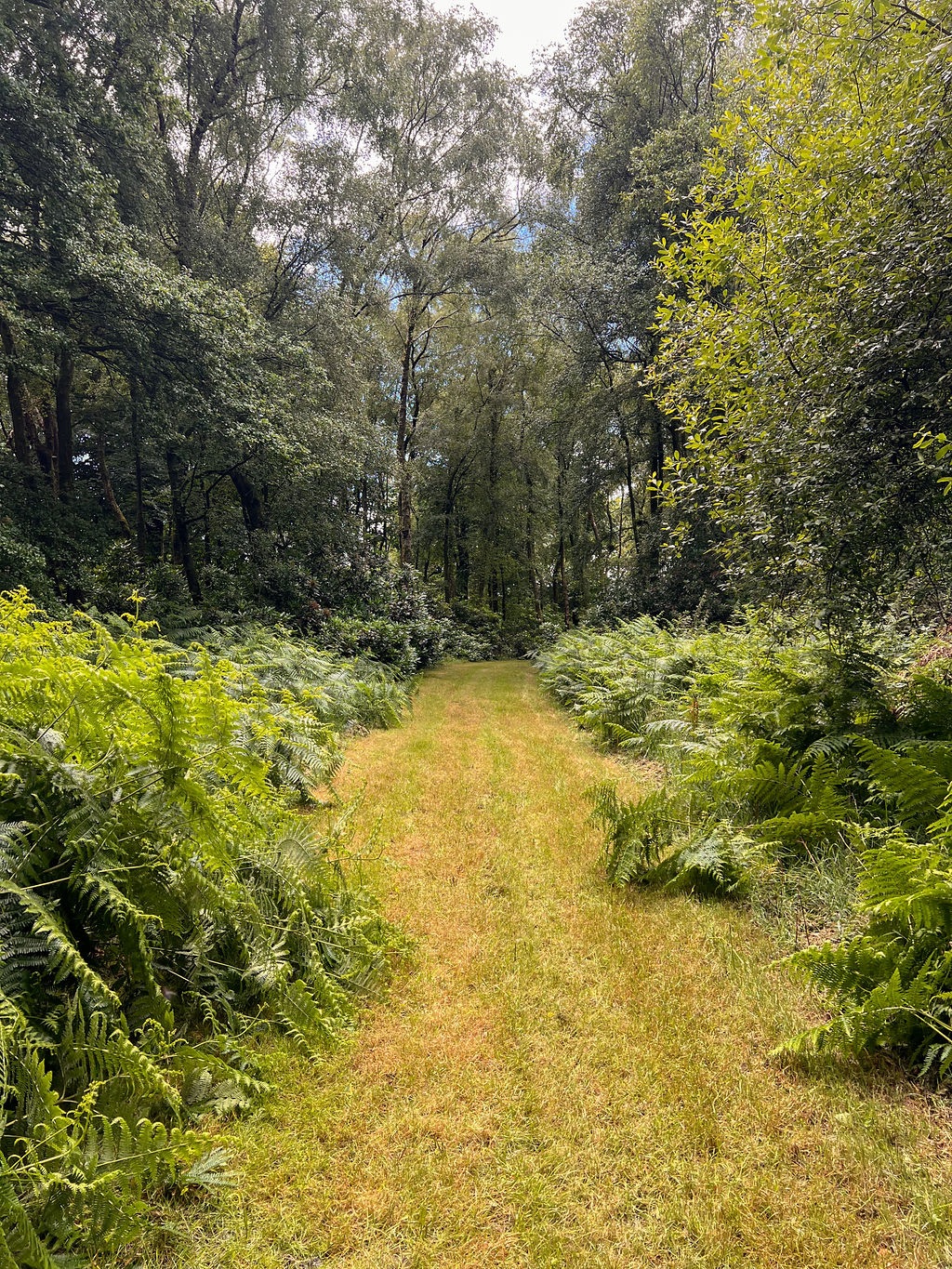 Gallery Item 7 for Hillfort Woodland Weddings